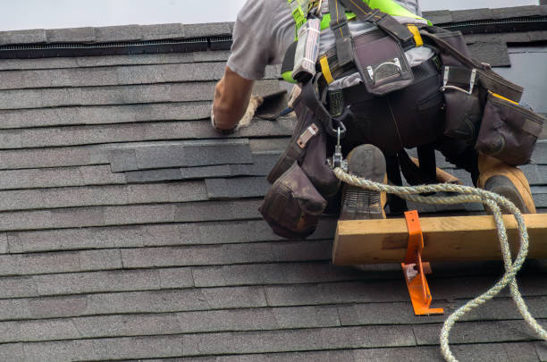 Roof Gutter Cleaning in Clarendon Hills, IL